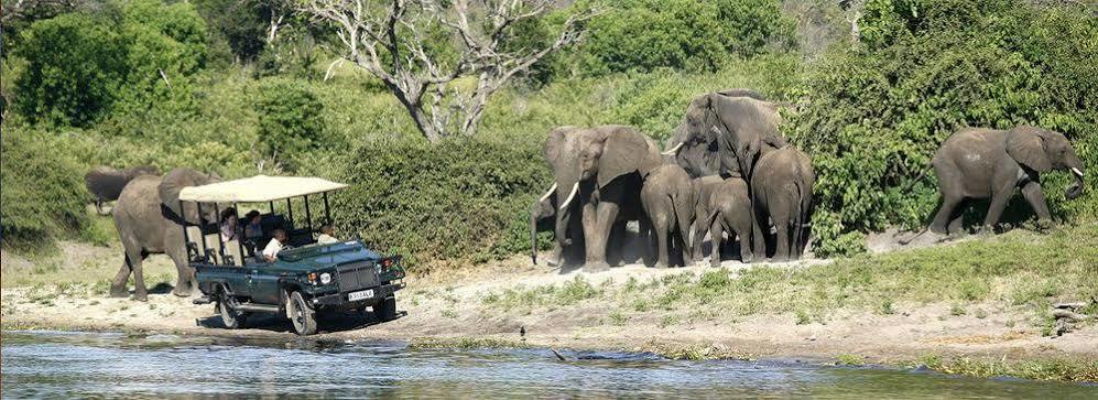 Tongabezi Lodge Simonga Bagian luar foto